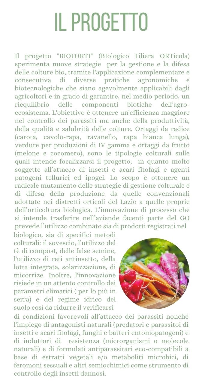 progetto