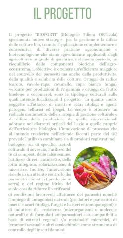 progetto